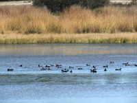 Lagunas de Cantalejo